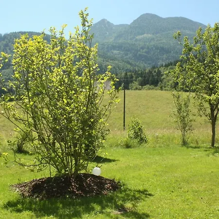 Landlust Ischl Bed and Breakfast Bad Ischl