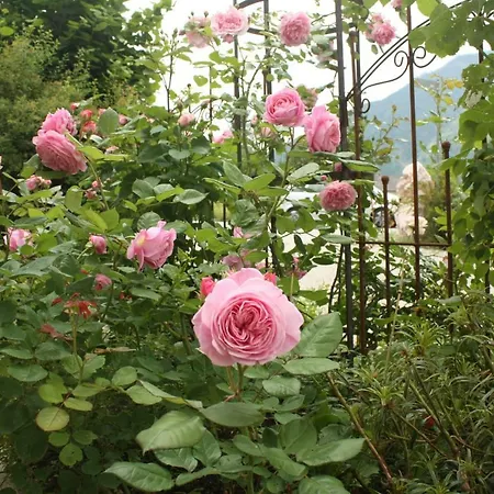 랜드러스트 이슐 3*