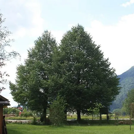 Landlust Ischl Отель типа 