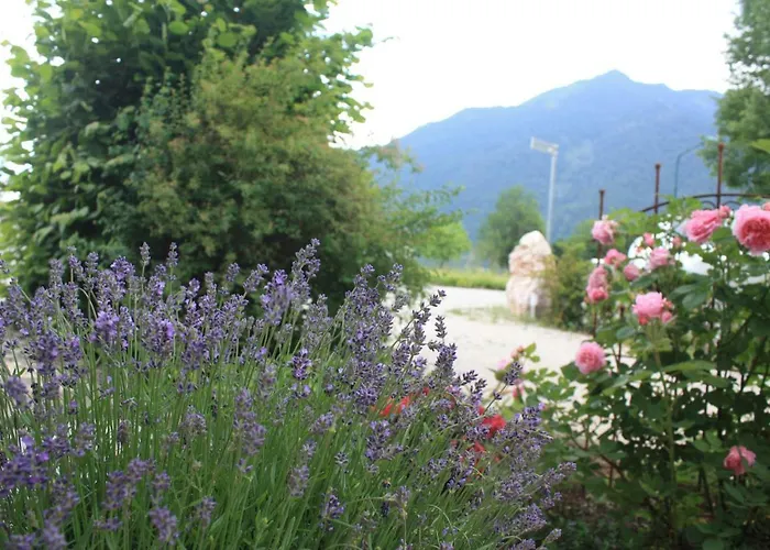 Oda ve Kahvaltı Landlust Ischl 3*