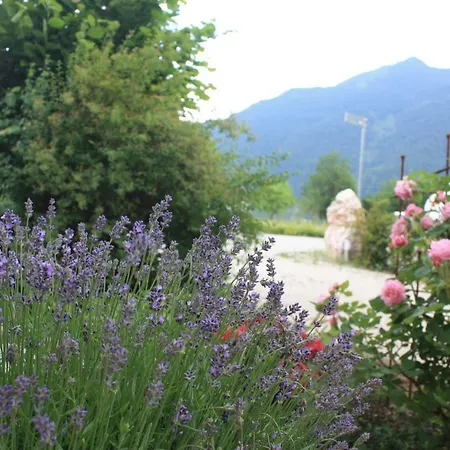فندق مبيت وإفطار Landlust Ischl 3*