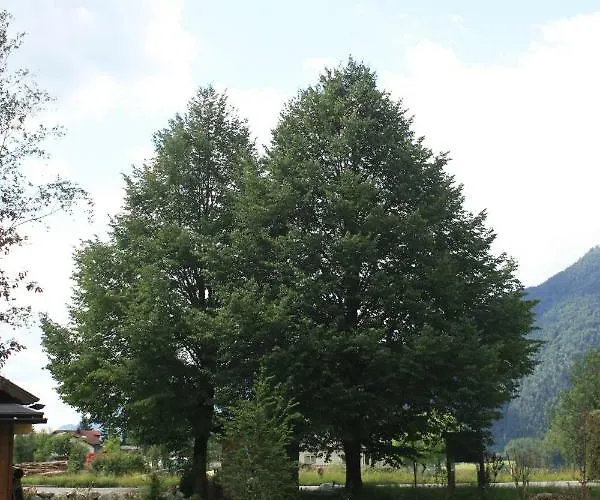 Landlust Ischl Bed & Breakfast Bad Ischl